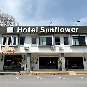 Sunflower - Hls Malacca